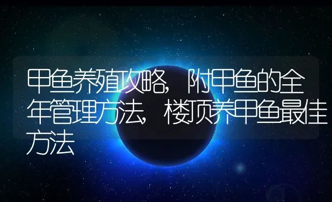 甲鱼养殖攻略,附甲鱼的全年管理方法,楼顶养甲鱼最佳方法 | 养殖学堂