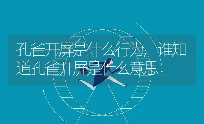 孔雀开屏是什么行为,谁知道孔雀开屏是什么意思 | 养殖学堂