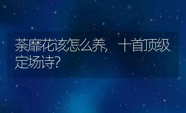 荼靡花该怎么养,十首顶级定场诗？ | 养殖科普