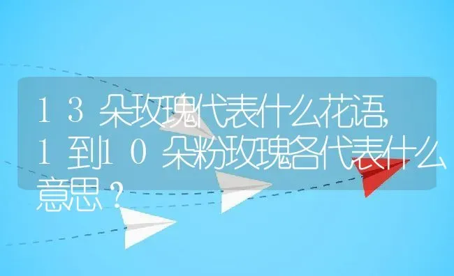 13朵玫瑰代表什么花语,1到10朵粉玫瑰各代表什么意思？ | 养殖科普