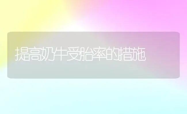 提高奶牛受胎率的措施 | 养殖知识