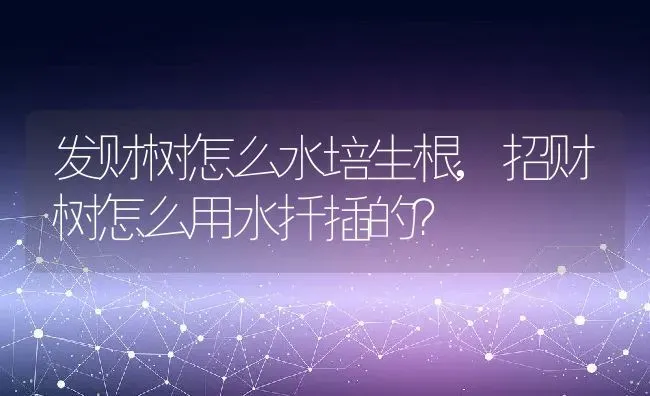 发财树怎么水培生根,招财树怎么用水扦插的？ | 养殖学堂