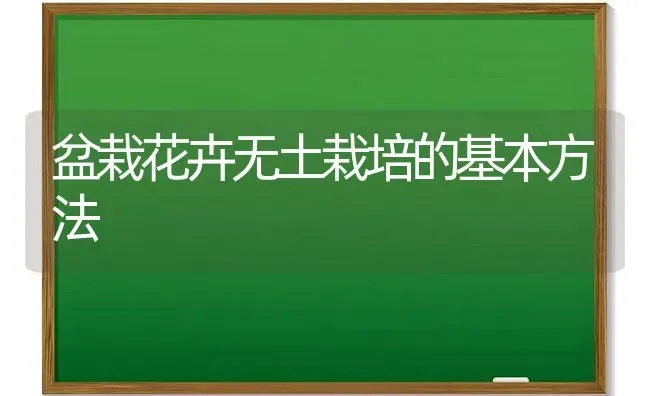 盆栽花卉无土栽培的基本方法 | 养殖知识