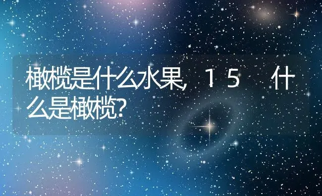 橄榄是什么水果,15 什么是橄榄？ | 养殖科普