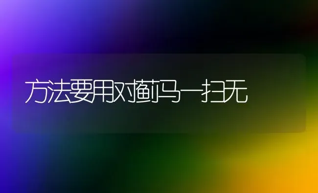 方法要用对蓟马一扫无 | 养殖技术大全