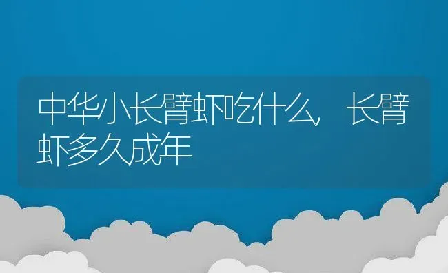 中华小长臂虾吃什么,长臂虾多久成年 | 养殖学堂