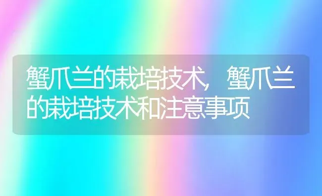 蟹爪兰的栽培技术,蟹爪兰的栽培技术和注意事项 | 养殖科普