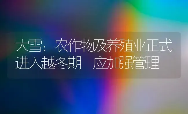 大雪：农作物及养殖业正式进入越冬期 应加强管理 | 养殖技术大全