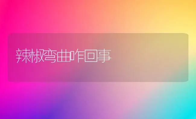 辣椒弯曲咋回事 | 养殖知识