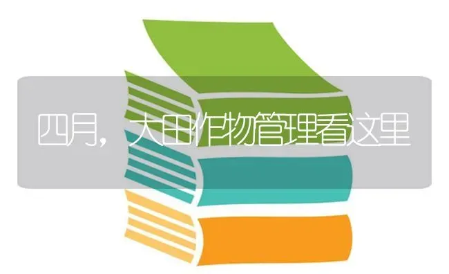 四月,大田作物管理看这里 | 养殖技术大全