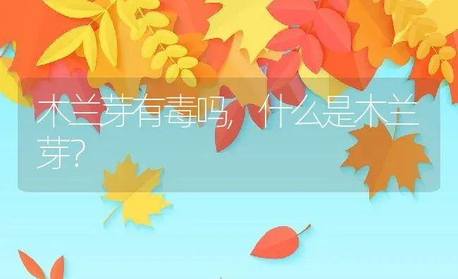 木兰芽有毒吗,什么是木兰芽？ | 养殖科普