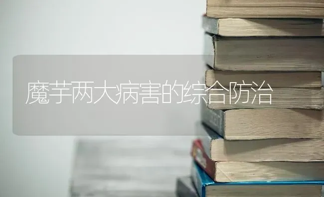 魔芋两大病害的综合防治 | 养殖技术大全