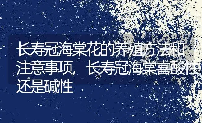 长寿冠海棠花的养殖方法和注意事项,长寿冠海棠喜酸性还是碱性 | 养殖学堂