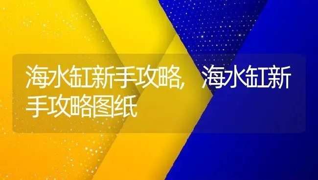 海水缸新手攻略,海水缸新手攻略图纸 | 养殖科普