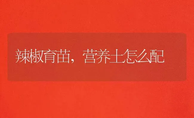 辣椒育苗,营养土怎么配 | 养殖技术大全
