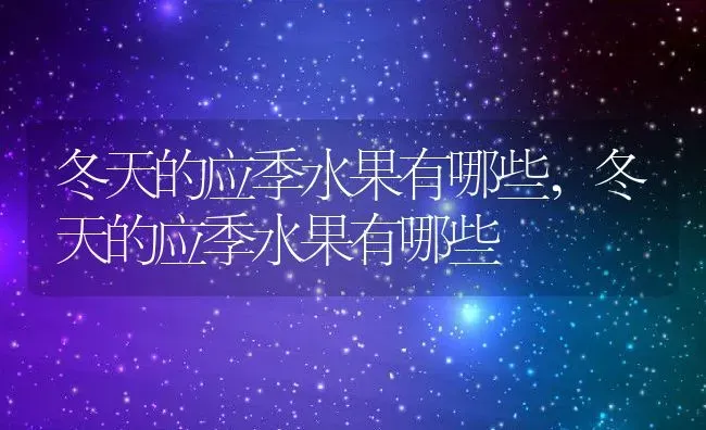 冬天的应季水果有哪些,冬天的应季水果有哪些 | 养殖科普