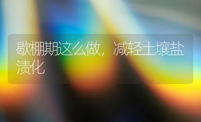 歇棚期这么做,减轻土壤盐渍化 | 养殖技术大全