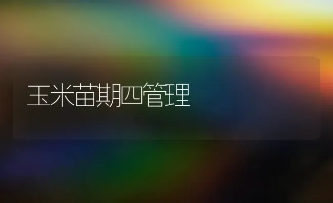 青蒜反季节栽培技术 | 养殖技术大全