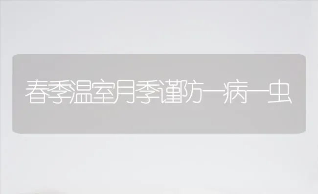 春季温室月季谨防一病一虫 | 养殖知识