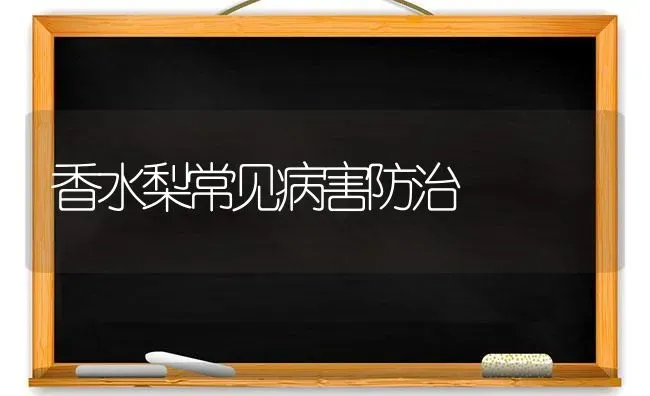 香水梨常见病害防治 | 养殖技术大全