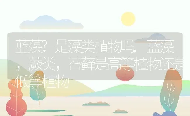 蓝藻?是藻类植物吗,蓝藻，蕨类，苔藓是高等植物还是低等植物 | 养殖学堂