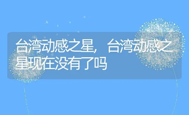 台湾动感之星,台湾动感之星现在没有了吗 | 养殖科普