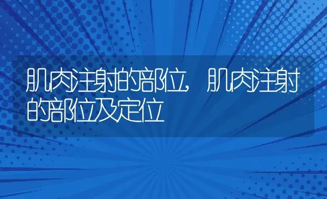 肌肉注射的部位,肌肉注射的部位及定位 | 养殖科普