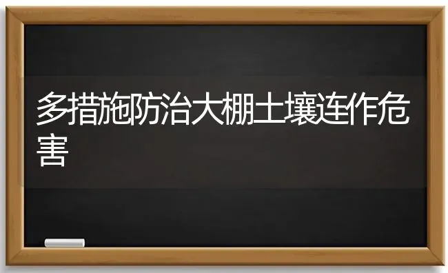 多措施防治大棚土壤连作危害 | 养殖技术大全