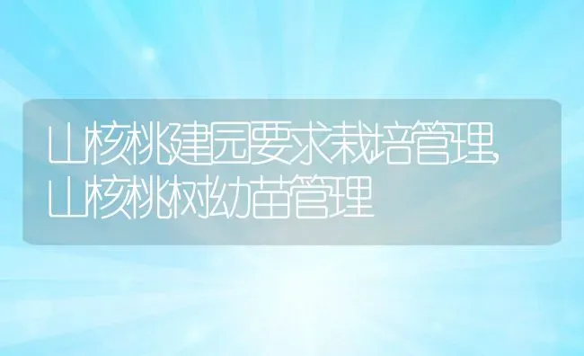 山核桃建园要求栽培管理,山核桃树幼苗管理 | 养殖学堂