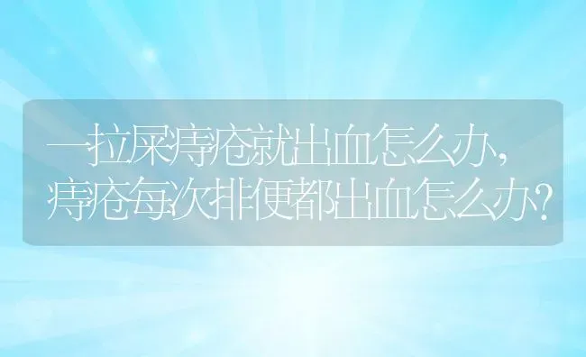 一拉屎痔疮就出血怎么办,痔疮每次排便都出血怎么办？ | 养殖学堂
