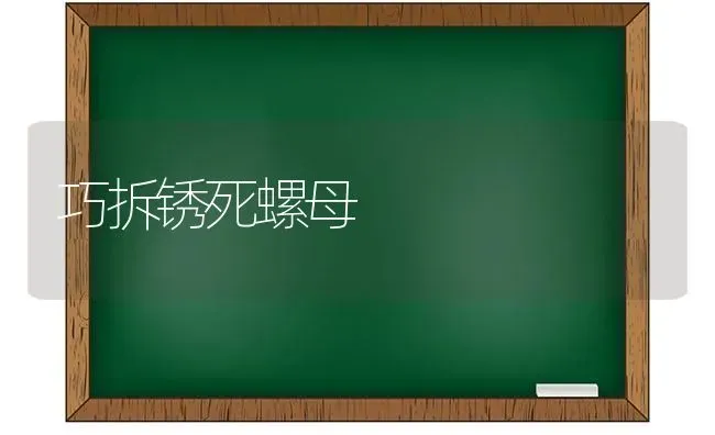 巧拆锈死螺母 | 养殖知识