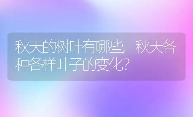 秋天的树叶有哪些,秋天各种各样叶子的变化？ | 养殖科普