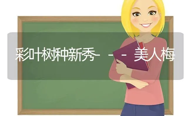 彩叶树种新秀---美人梅 | 养殖技术大全