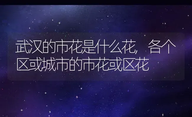 武汉的市花是什么花,各个区或城市的市花或区花 | 养殖学堂