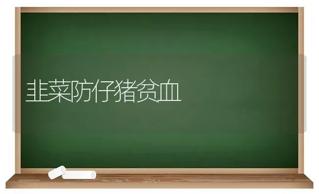 南美白对虾池的底质改良方法 | 养殖知识