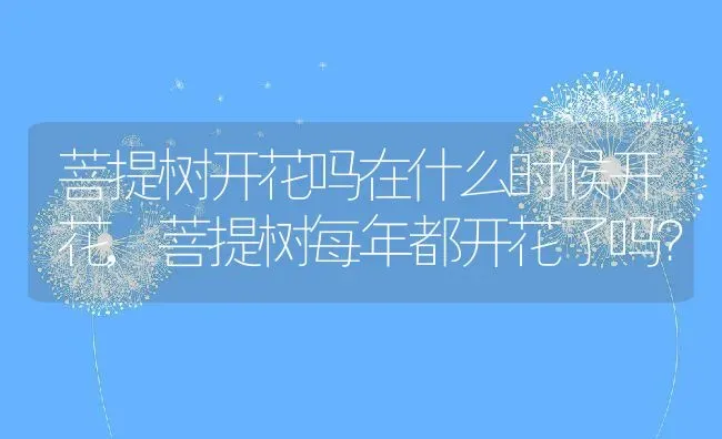 菩提树开花吗在什么时候开花,菩提树每年都开花了吗？ | 养殖科普