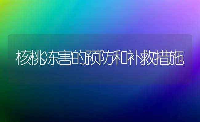 核桃冻害的预防和补救措施 | 养殖技术大全