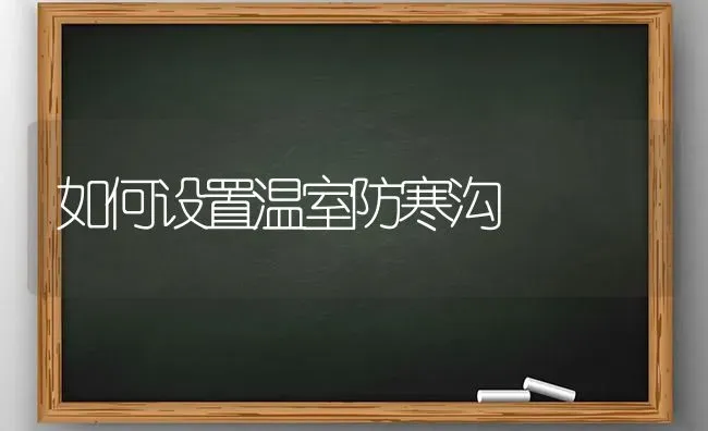 如何设置温室防寒沟 | 养殖知识