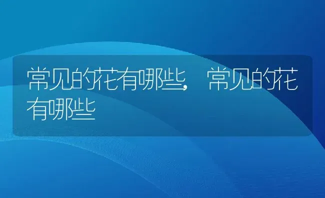 常见的花有哪些,常见的花有哪些 | 养殖科普