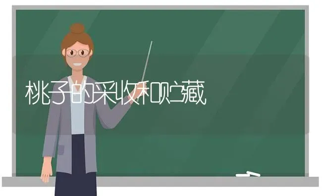 桃子的采收和贮藏 | 养殖知识