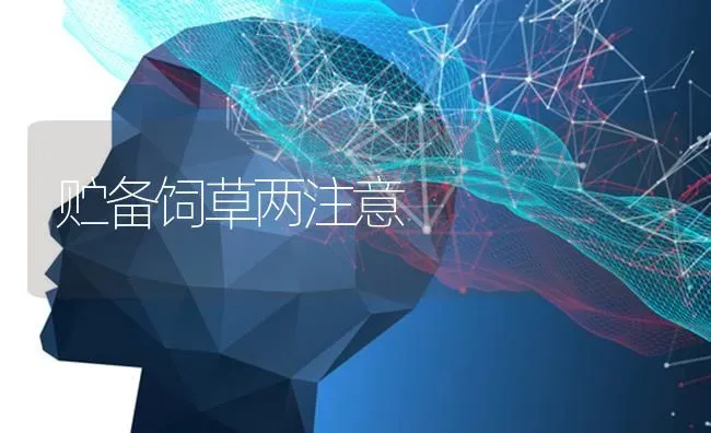 贮备饲草两注意 | 养殖知识