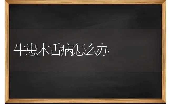 牛患木舌病怎么办 | 养殖技术大全