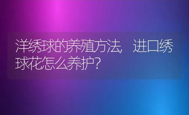 洋绣球的养殖方法,进口绣球花怎么养护？ | 养殖科普