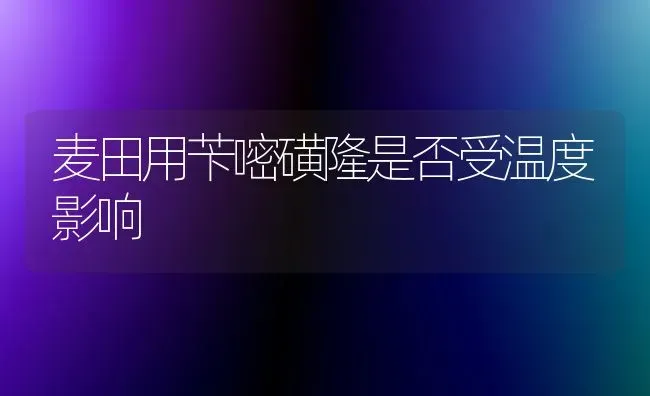 麦田用苄嘧磺隆是否受温度影响 | 养殖知识