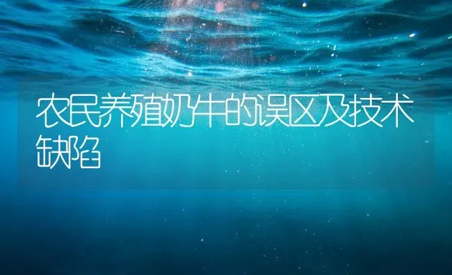 农民养殖奶牛的误区及技术缺陷 | 养殖技术大全