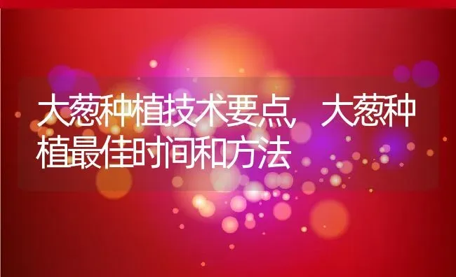 大葱种植技术要点,大葱种植最佳时间和方法 | 养殖学堂