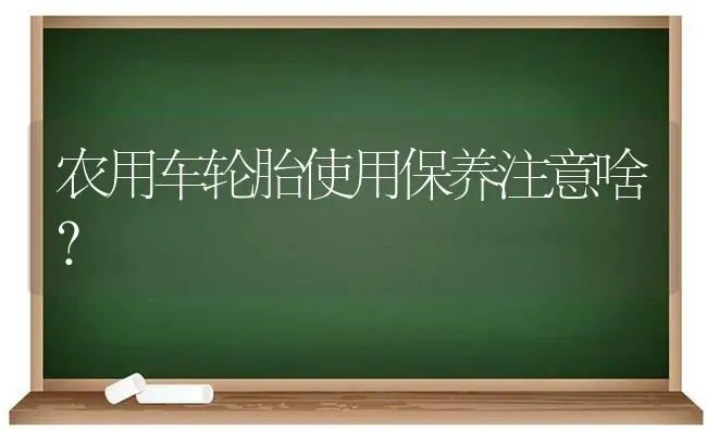 农用车轮胎使用保养注意啥? | 养殖技术大全