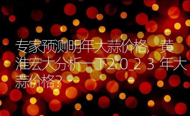 专家预测明年大蒜价格,黄淮宏大分析一下2023年大蒜价格？ | 养殖科普