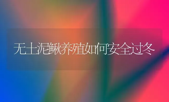 无土泥鳅养殖如何安全过冬 | 养殖技术大全