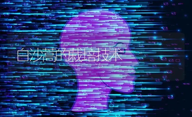 白沙蒿的栽培技术 | 养殖知识